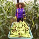 천혜농장 이미지