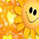 태양스토어 이미지