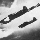 레드얼렛 이미지