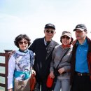 소풍 Daum카페