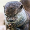 한길세탁 | 코바늘 세일러슬리퍼 실패원인,손펠팅 꿀팁 _ 통돌이펠팅한 테무실 반전 후기