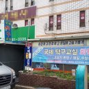 국제탁구교실