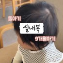 코코하니 이미지
