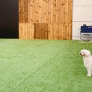 코코앤몽 이미지