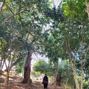 월명수산 이미지