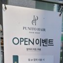 푸니토 이미지