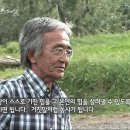 휴머스