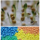 예안슈퍼 이미지