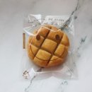 반려동물관리사과정 이미지