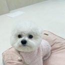 이매역3번출구 이미지