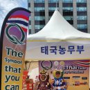 싸왓디 | 2026년 싸왓디 서울 타이 페스티벌 태국 축제 다녀온 후기