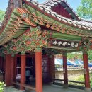 산새소리어린이집_경계 | 봄엔 불회사를 가야 한다.