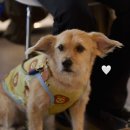 주영카페 이미지