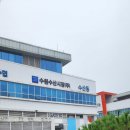 도매농수산물 | 영일수산 수원 농수산물 도매시장점 방문 후기