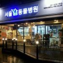 24시예스동물병원 이미지