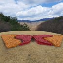 충주산업임업 | SK forest 서포터즈 수페지기 1기가 되다!