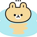 한실약수터 네이버블로그