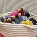 (주)나은생활 | 내돈내산 마곡심리상담 후기 | 마곡 더나은심리상담코칭센터 원장님 상담 후기