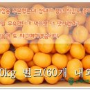 온새미영농조합의 제주 레드향 직거래 후기 모음^^