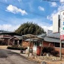 매일복집 이미지