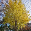 봉스테이크 앤 파스타 | 부경대 맛집 텐달러스테이크앤파스타 — 가성비 좋은 스테이크와 크림파스타 후기