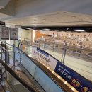 (주)이마트 중동점 | 이마트 고래잇 페스타 할인 장보기 후기