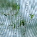 수원-1066 이미지