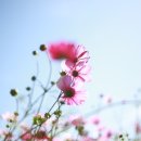 참좋은날