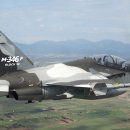 韓 FA-50 최대 라이벌인데…인도네시아, 伊 M-346F 경전투기 12대 계약 이미지