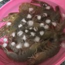 명덕시장 | [251018] 안양농수산물시장 명덕수산 생새우 구매후기