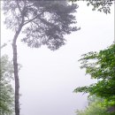 부곡허브농원 아로마빌리지 이미지