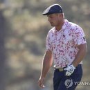 (주)스피드투어 이미지
