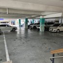 24아프리카동물메디컬센터 이미지