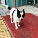 총댕이마을 | 서바이벌 체험 후기!