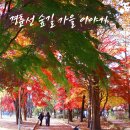 도시철도 시청역 4번출구 | 가을 감성 사진 명소 | 경춘선 숲길 &amp; 화랑대 철도공원 솔직 후기