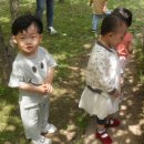 아인농장 Daum카페