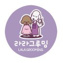 코코 반려견미용실 이미지