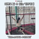 바운스슈퍼파크 수원 망포 키즈카페 평일 후기