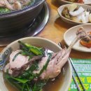 약산궁 능이버섯 | 포천 백숙 맛집 ㆍ포천 삼계탕 맛집 -약산궁능이버섯백숙♡