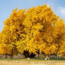 반계1리마을회관 이미지