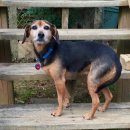 24시 산들산들 동물병원 이미지