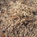 태광1농장 이미지