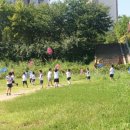 새예지유치원 이미지