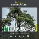원주굽이길 2코스 700년노송길 | 원주 굽이길 2코스 700년 노송길 길었던 19.1km 트레킹
