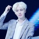 빵야빵야 이미지