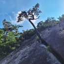 구수리 농장 이미지