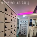 에스핏 휘트니스 네이버블로그