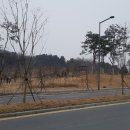 상촌어린이공원2 Daum카페