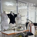 옷 만들기 | 종로) 노라노패션학원 강아지옷만들기•파자마만들기 후기