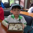 동구초등학교 이미지